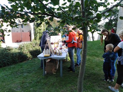 Foto des Albums: Obst-         Ausstellung