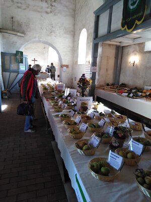 Foto des Albums: Obst-         Ausstellung