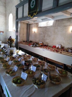Foto des Albums: Obst-         Ausstellung