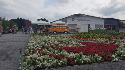 Foto des Albums: Heilbronn BUGA