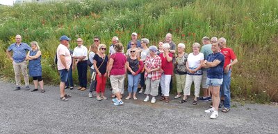 Foto des Albums: Heilbronn BUGA
