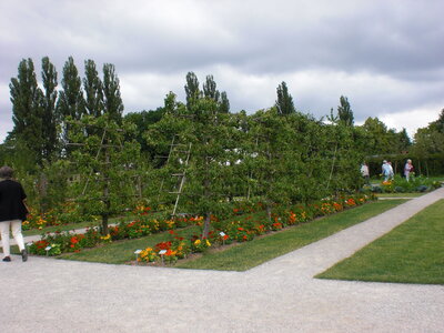 Foto des Albums: Schwerin BUGA