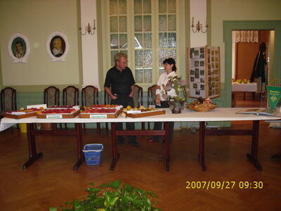 Foto des Albums: Obst-Ausstellung