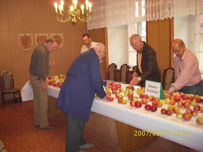 Foto des Albums: Obst-Ausstellung