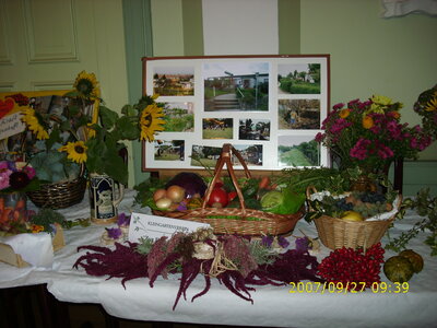 Foto des Albums: Obst-Ausstellung