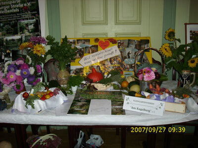 Foto des Albums: Obst-Ausstellung