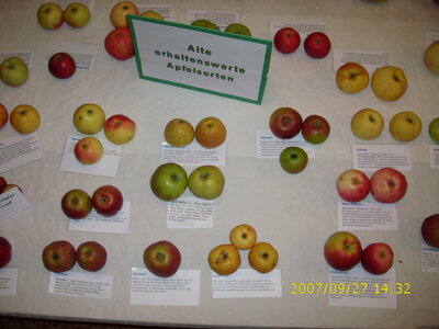 Foto des Albums: Obst-Ausstellung
