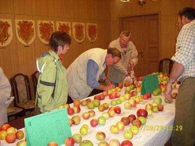 Foto des Albums: Obst-Ausstellung
