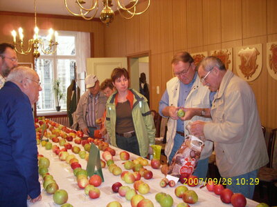 Foto des Albums: Obst-Ausstellung