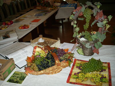 Foto des Albums: Obst-Ausstellung