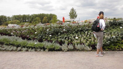 Foto des Albums: Deggendorf LAGA