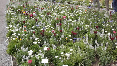 Foto des Albums: Deggendorf LAGA
