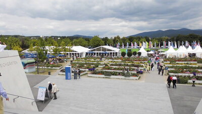 Foto des Albums: Deggendorf LAGA
