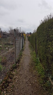 Foto des Albums: Gartenanlage Frahnerts Pächter e. V.
