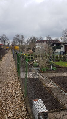 Foto des Albums: Gartenanlage Frahnerts Pächter e. V.