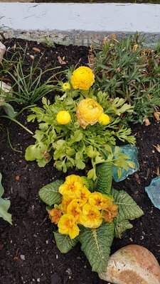 Foto des Albums: Gartenanlage Frahnerts Pächter e. V.