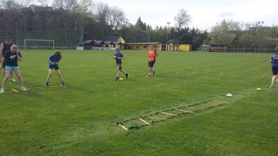 Foto des Albums: Auftakt 2021