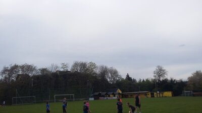 Foto des Albums: Auftakt 2021