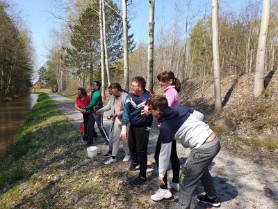 Foto des Albums: Frühlingslauf 2021