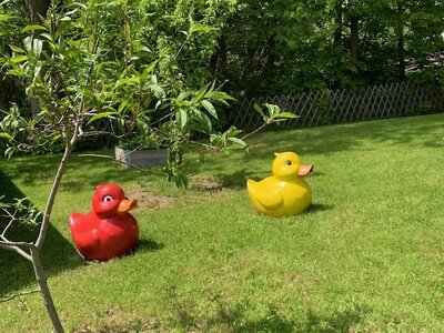 Foto des Albums: Frühling im Sperkennest
