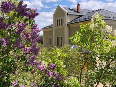 Foto des Albums: Frühling im Sperkennest
