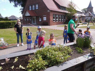 Foto des Albums: Hochbeetbepflanzung Mäuse- & Bärengruppe