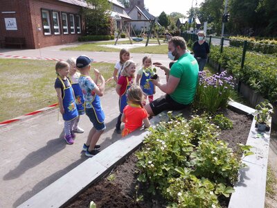 Foto des Albums: Hochbeetbepflanzung Mäuse- & Bärengruppe
