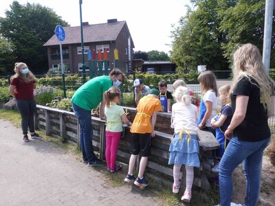 Foto des Albums: Hochbeetbepflanzung Mäuse- & Bärengruppe