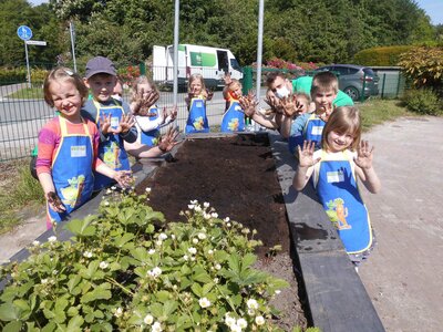Foto des Albums: Hochbeetbepflanzung Igelgruppe