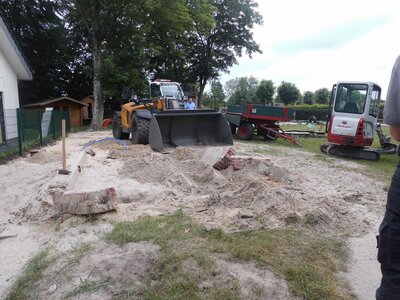 Foto des Albums: Arbeitseinsatz auf der Tummelwiese