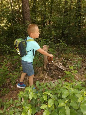 Foto des Albums: Überraschungstag für die Vorschulkinder