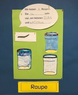 Plakat Raupe  (Bild vergr&ouml;&szlig;ern)