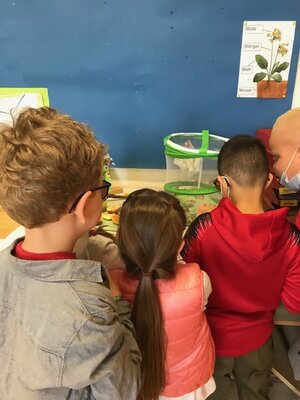 Kinder beobachten Distelfalter  (Bild vergr&ouml;&szlig;ern)