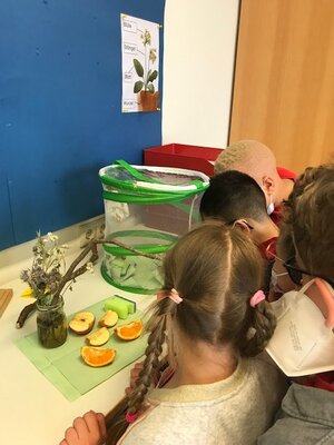 Kinder beobachten Distelfalter  (Bild vergr&ouml;&szlig;ern)