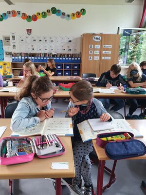 Foto des Albums: Die vierte Klasse baut Brücken aus verschiedenem Material