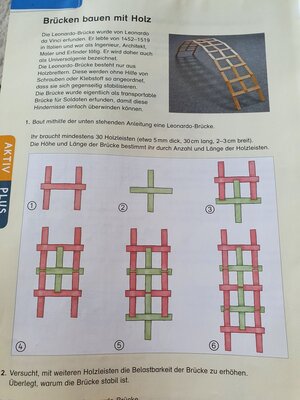 Foto des Albums: Die vierte Klasse baut Brücken aus verschiedenem Material