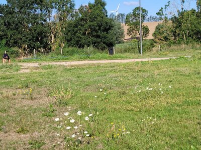 Foto des Albums: Arbeitseinsatz