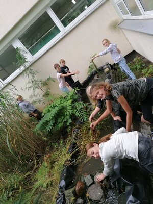 Foto des Albums: AG Teich und Tiere