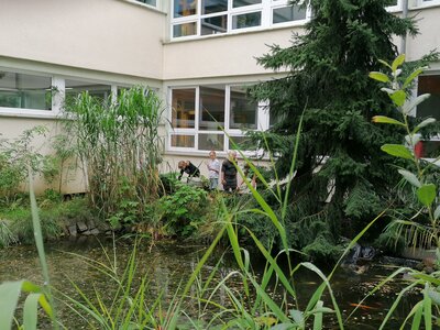 Foto des Albums: AG Teich und Tiere