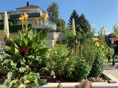 Hochbeet mit Blumen und Gem&uuml;se 