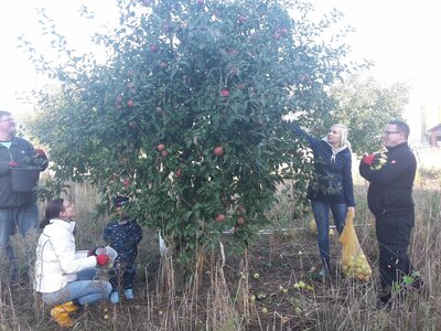 Foto des Albums: Apfel-Birnensaftaktion 2021