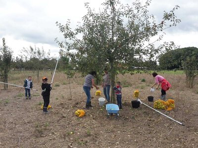 Foto des Albums: Apfel-Birnensaftaktion 2021
