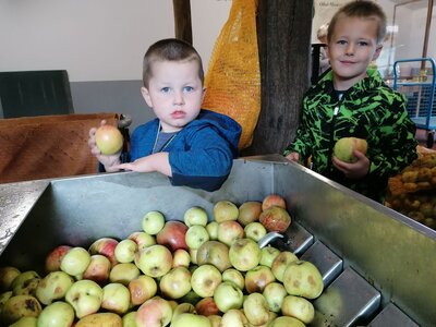 Foto des Albums: Apfel-Birnensaftaktion 2021