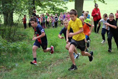 Foto des Albums: Crosslauf
