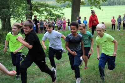 Foto des Albums: Crosslauf