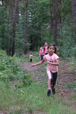 Foto des Albums: Crosslauf