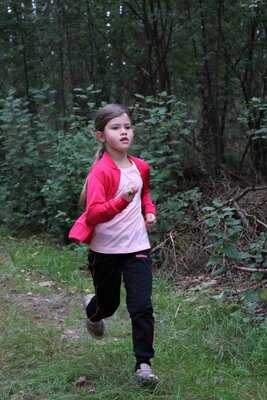 Foto des Albums: Crosslauf
