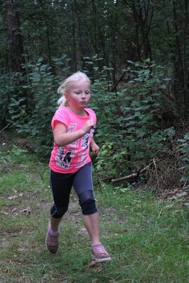 Foto des Albums: Crosslauf
