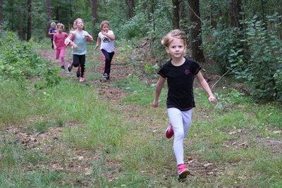 Foto des Albums: Crosslauf