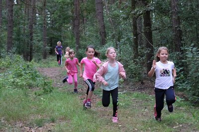 Foto des Albums: Crosslauf